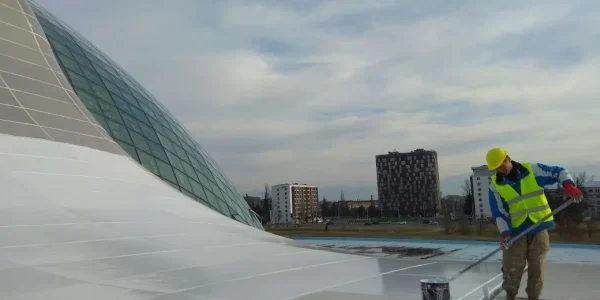 Fibre Cement Roof Waterproofing – Georgia Parliament